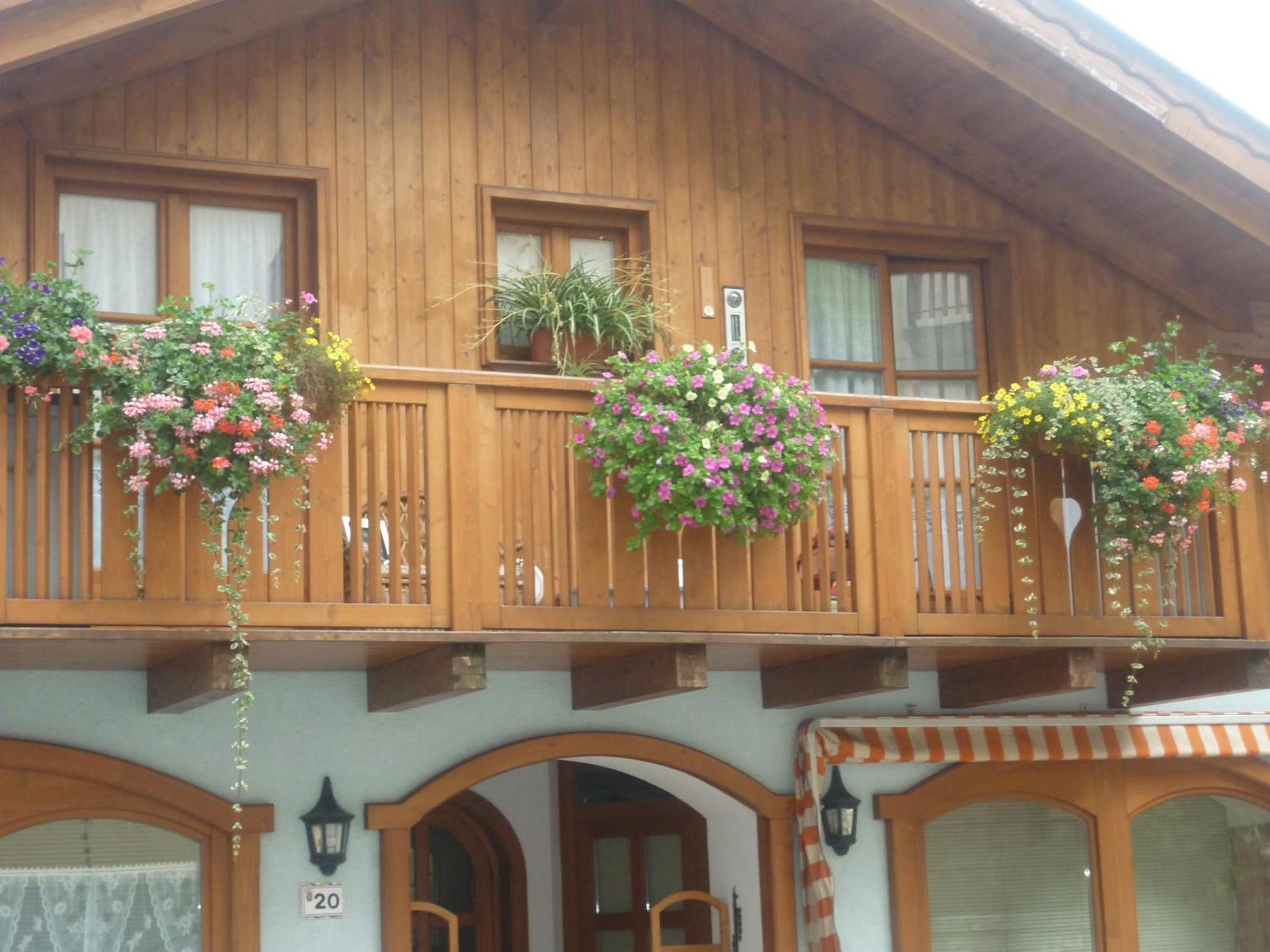 Appartamenti -Casa Nicolussi- Molveno Exteriör bild